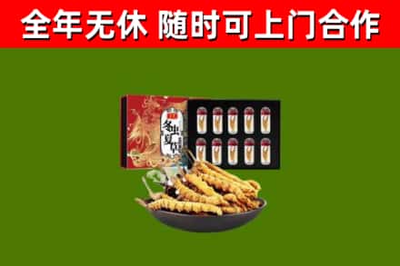 元氏县回收冬虫夏草价格