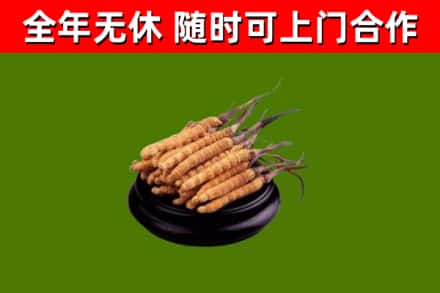 元氏县烟酒回收冬虫夏草.jpg